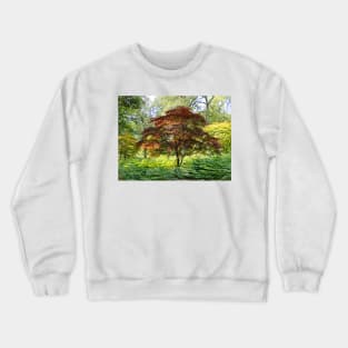 Copper Beech Tree Crewneck Sweatshirt